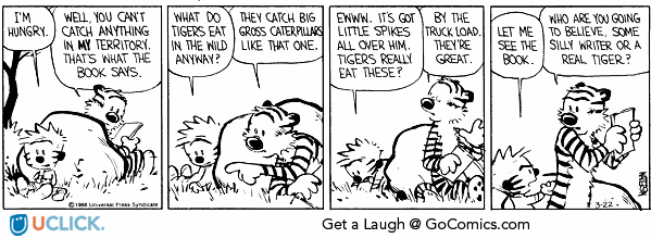 calvinandhobbes